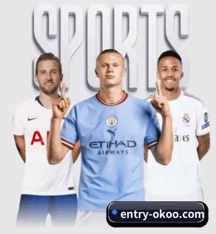entry-okoo.com APP